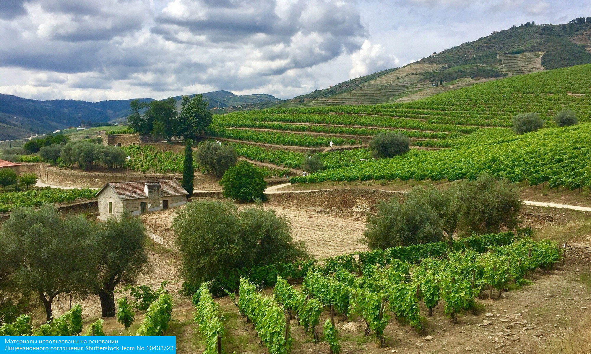 В стиле португальского фаду (13/35)