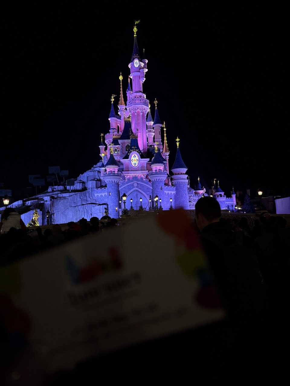 Мечты сбываются.....Париж+ Диснейленд (7/39)