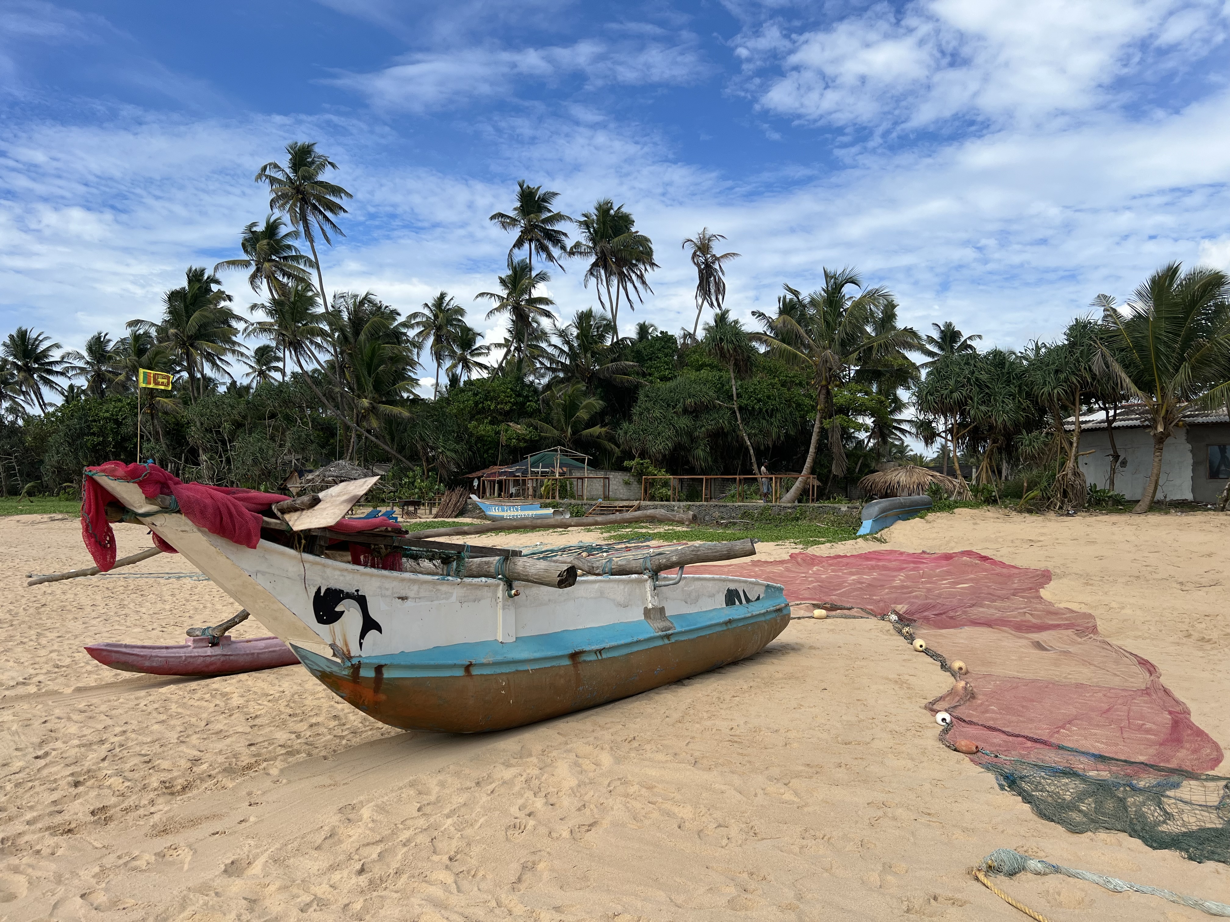 Контрастная Шри-Ланка. Максимум за 8 дней (15/43)