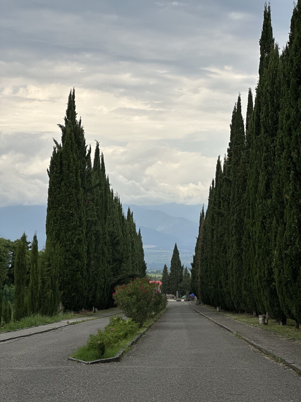 Кахетия по-дворянски — персональное путешествие для вашей компании