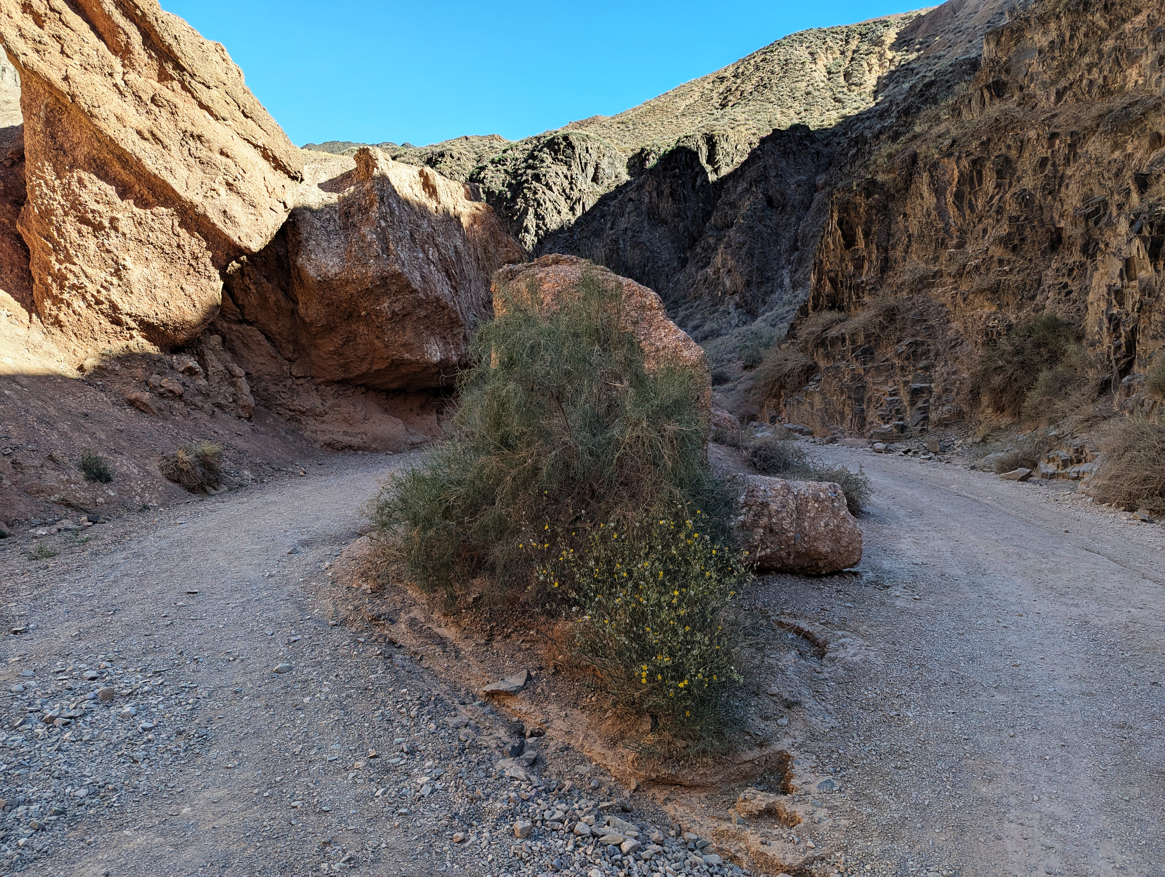 Красоты Тянь-Шаня. Из Казахстана в Кыргызстан и обратно. Две страны Центральной Азии. (8/45)