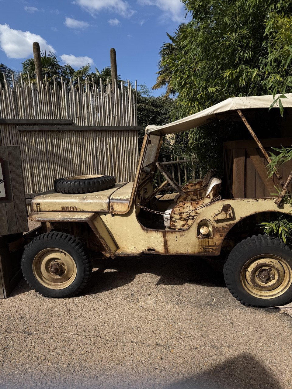 Мечты сбываются.....Париж+ Диснейленд (13/39)