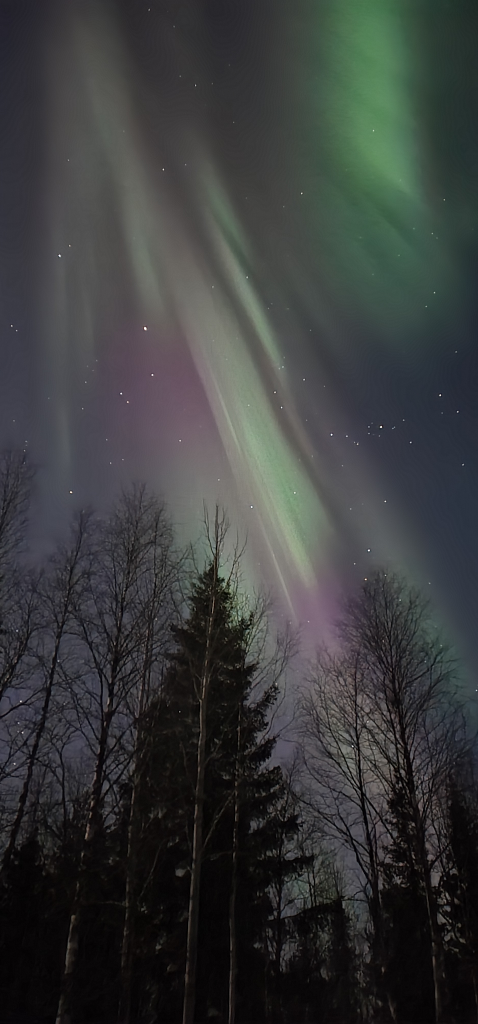 Сияние Терского берега (10/23)