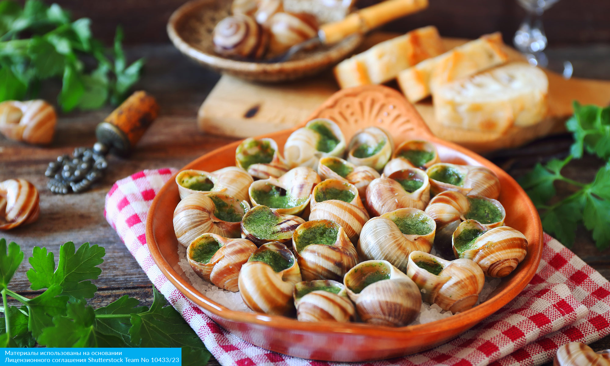 Гастрономическое путешествие из Будапешта в Париж из Москвы