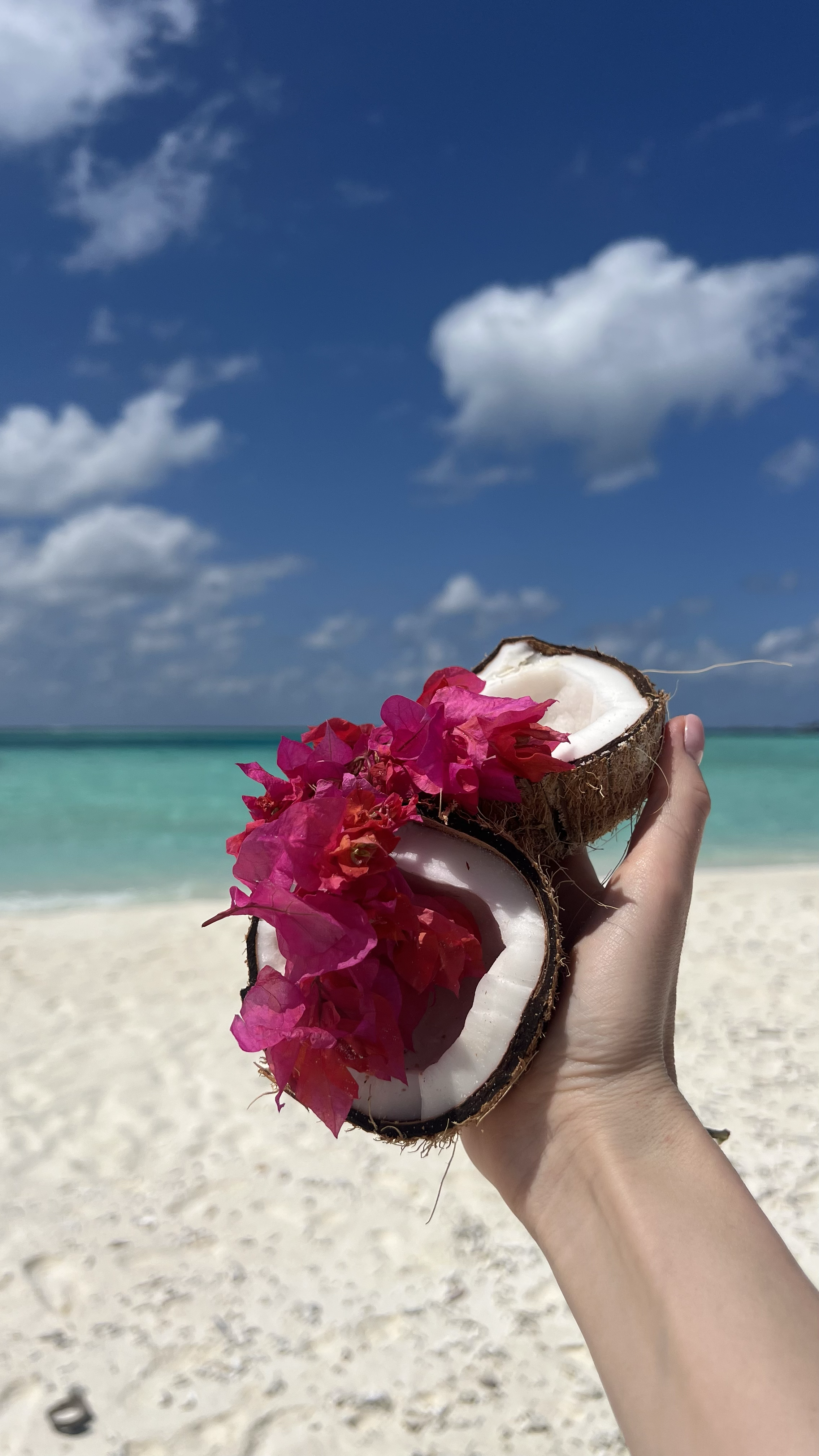 Мальдивы  Wellness Week. Неделя заботы о себе