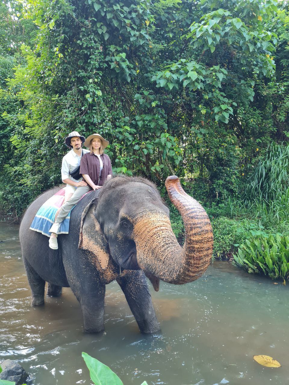 Авторский тур Вокруг Шри-Ланки за 6 дней (7/43)