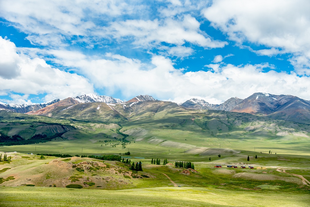 Фототур Альпийские луга Алтая