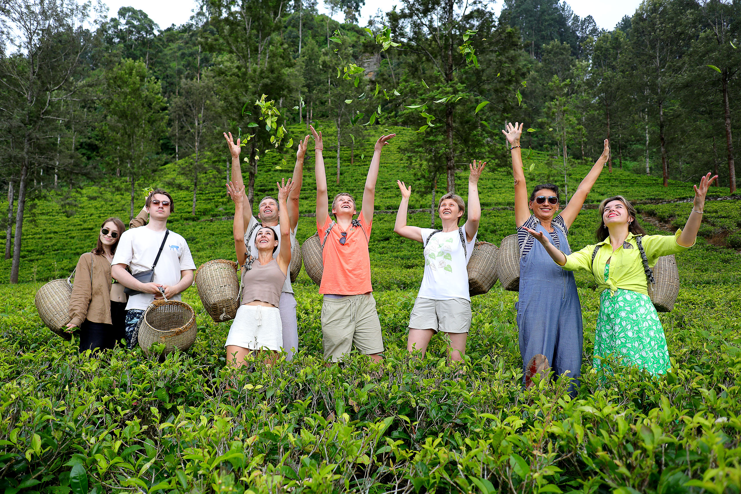 Колоритный Цейлон: слоны, храмы, чайные плантации и пляжный отдых. (10/54)