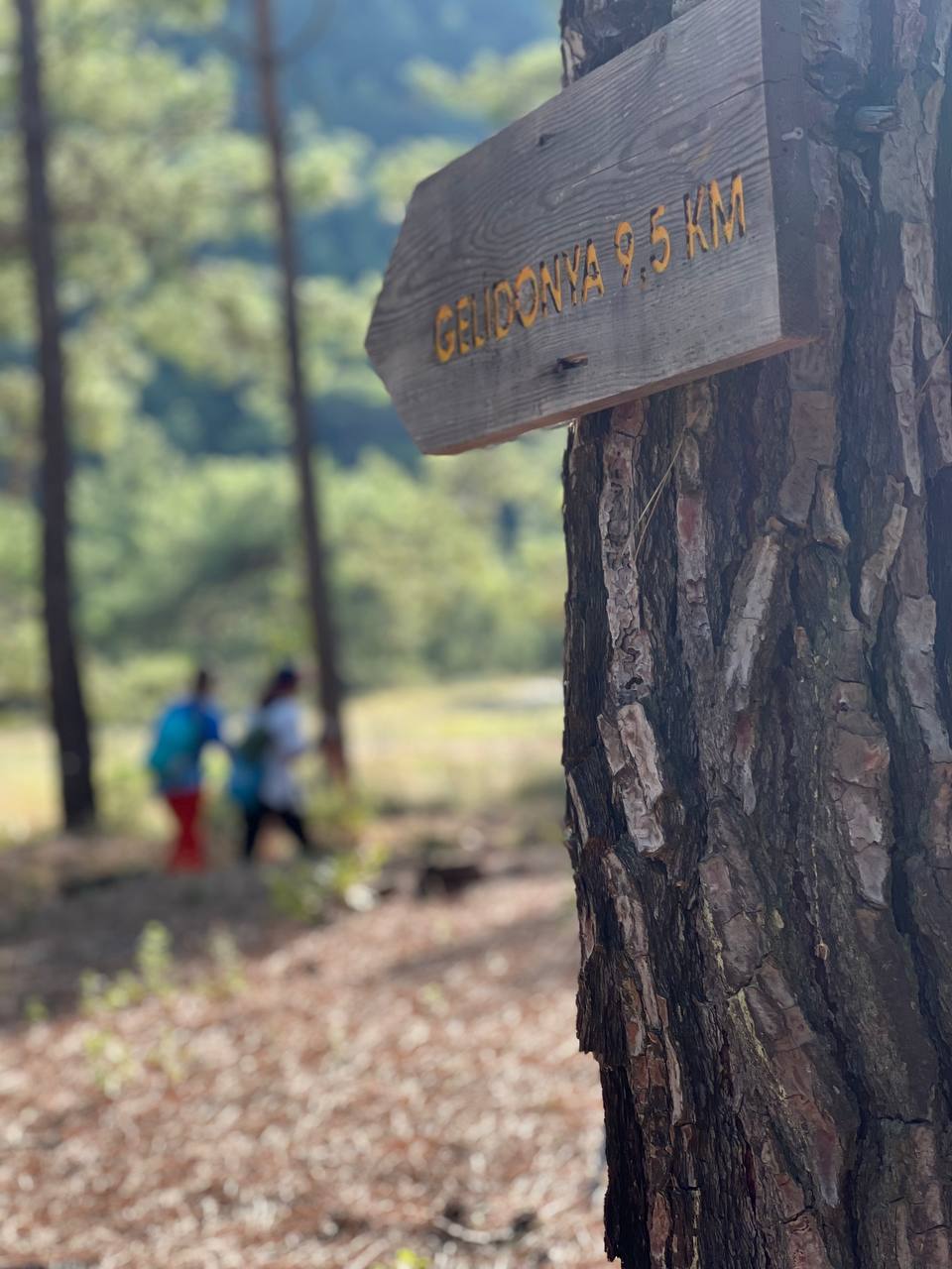 Путешествие по Ликийской тропе (Восточная часть) (4/10)