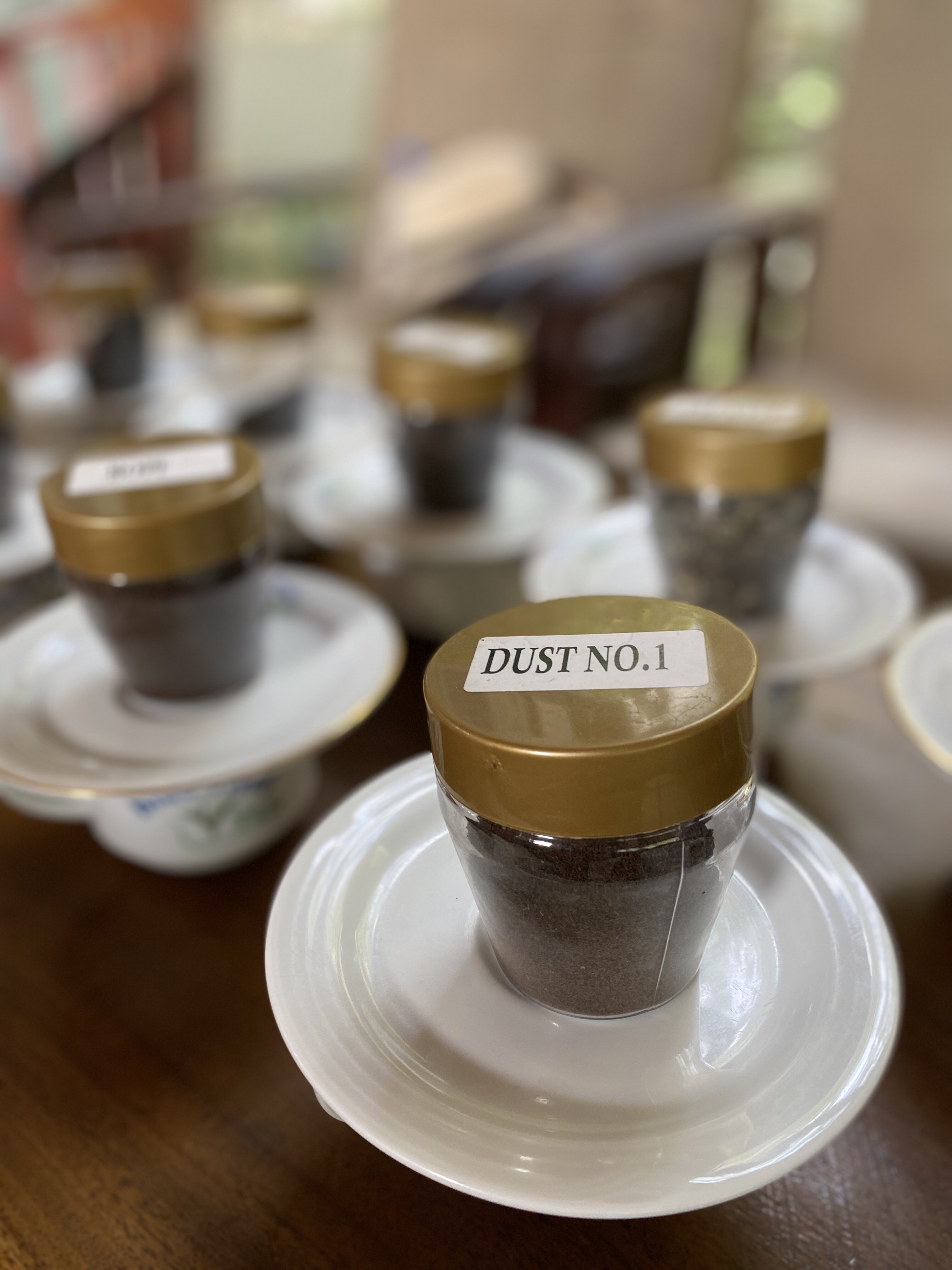 Колоритный Цейлон: слоны, храмы, чайные плантации и пляжный отдых. (8/54)