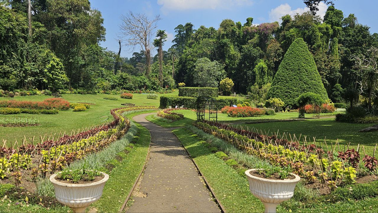 Авторский тур Вокруг Шри-Ланки за 6 дней (27/43)