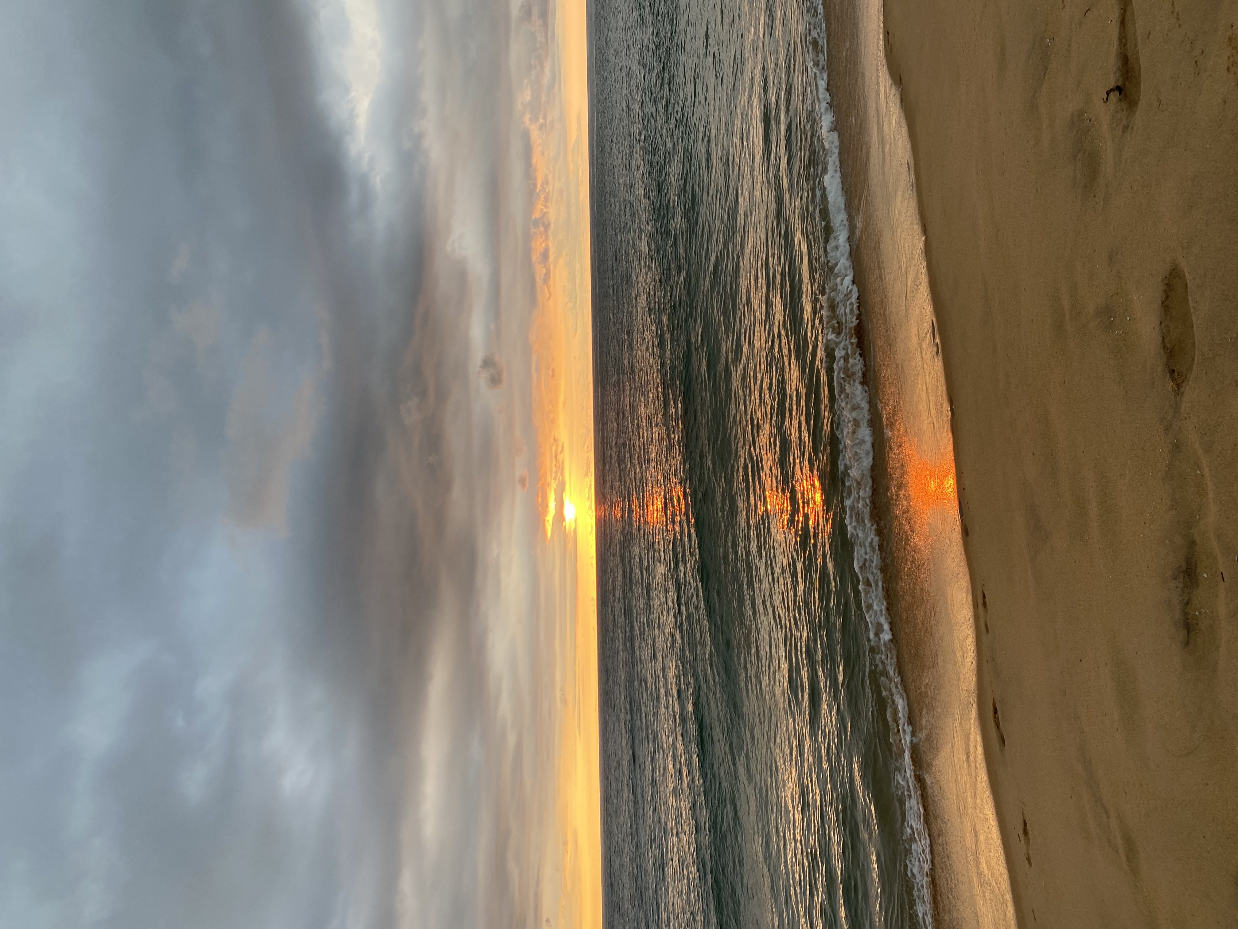 Колоритный Цейлон: слоны, храмы, чайные плантации и пляжный отдых. (17/54)