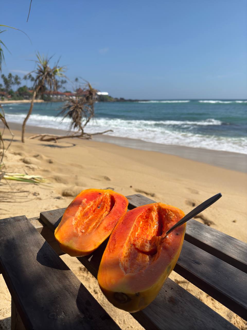 Колоритный Цейлон: слоны, храмы, чайные плантации и пляжный отдых. (22/54)