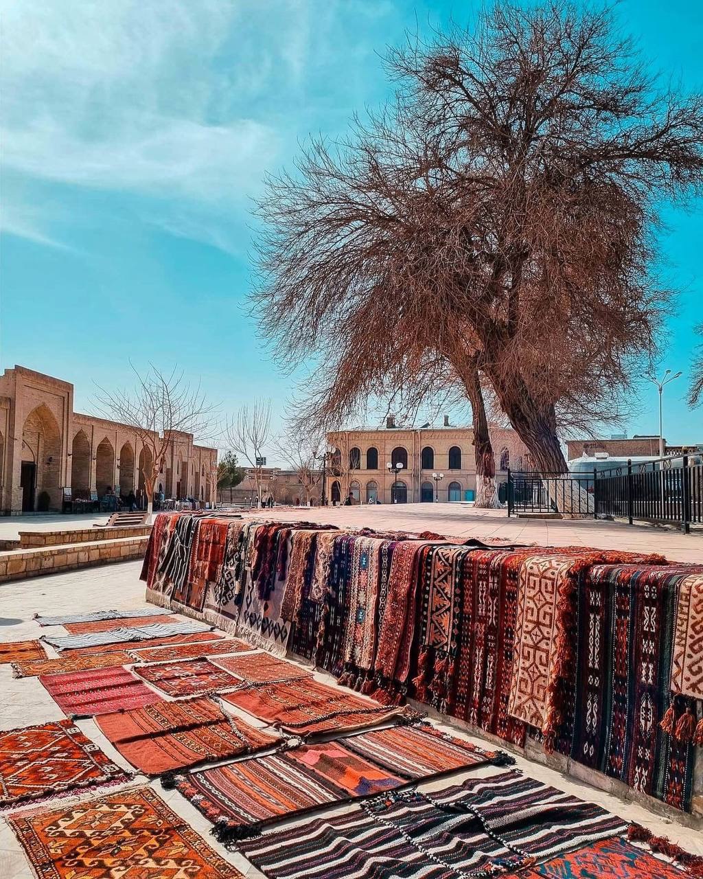 Путь сквозь века (Самарканд и Бухара) (4/17)