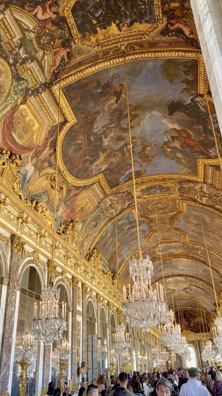 Мечты сбываются.....Париж+ Диснейленд (14/39)