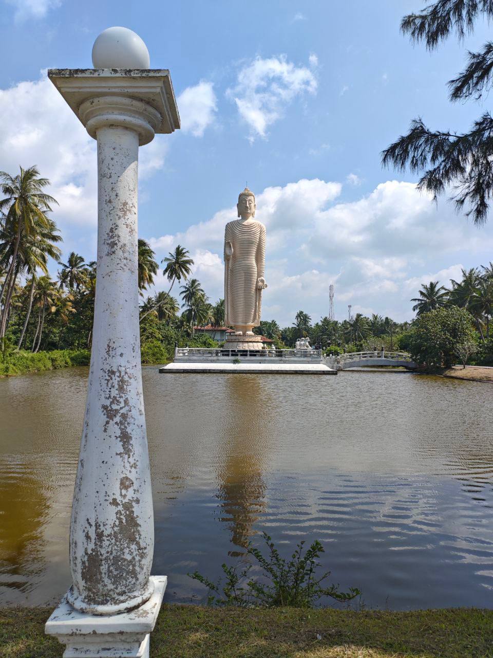Авторский тур Вокруг Шри-Ланки за 6 дней (24/43)
