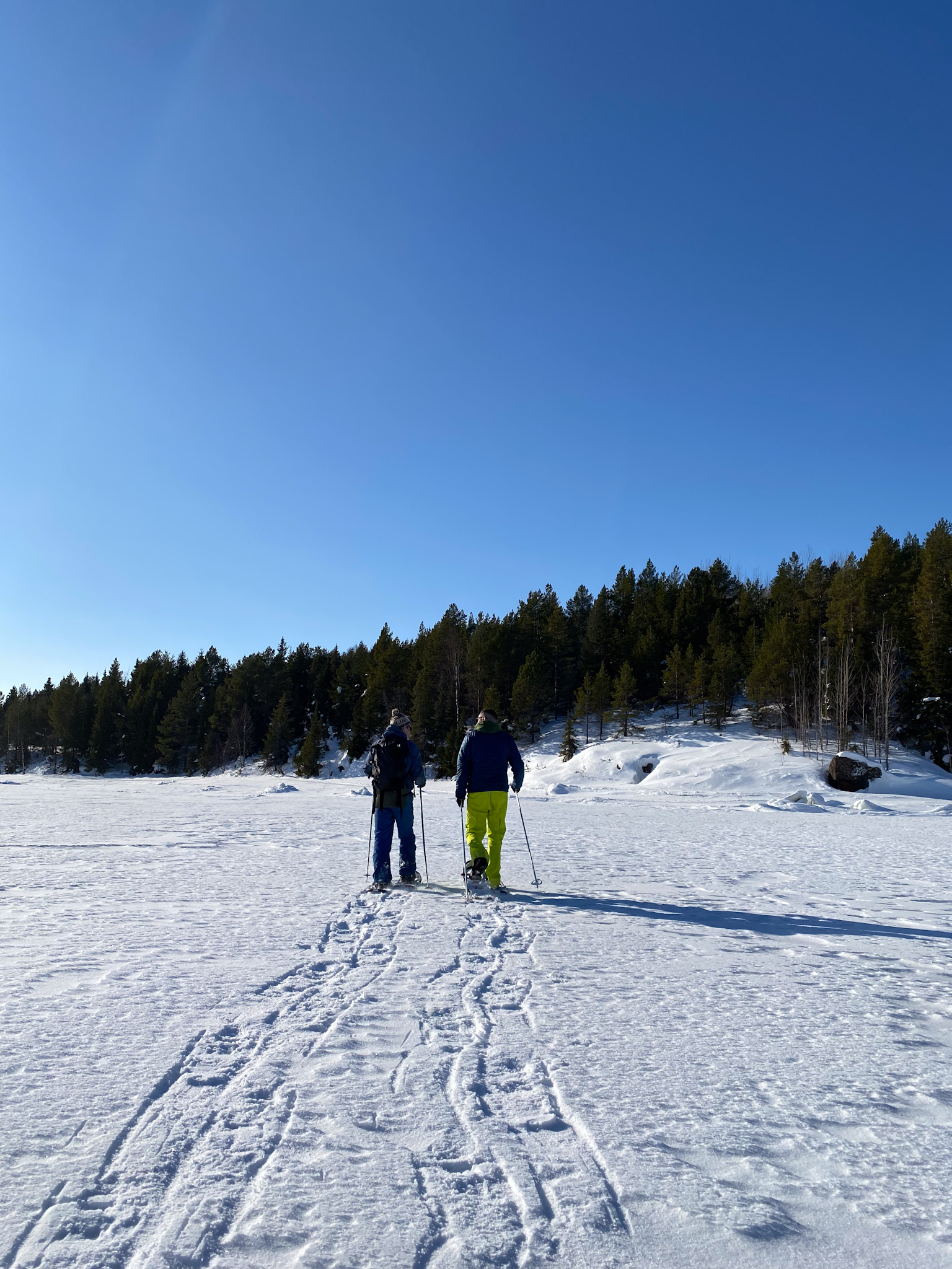 Сияние Терского берега (8/23)