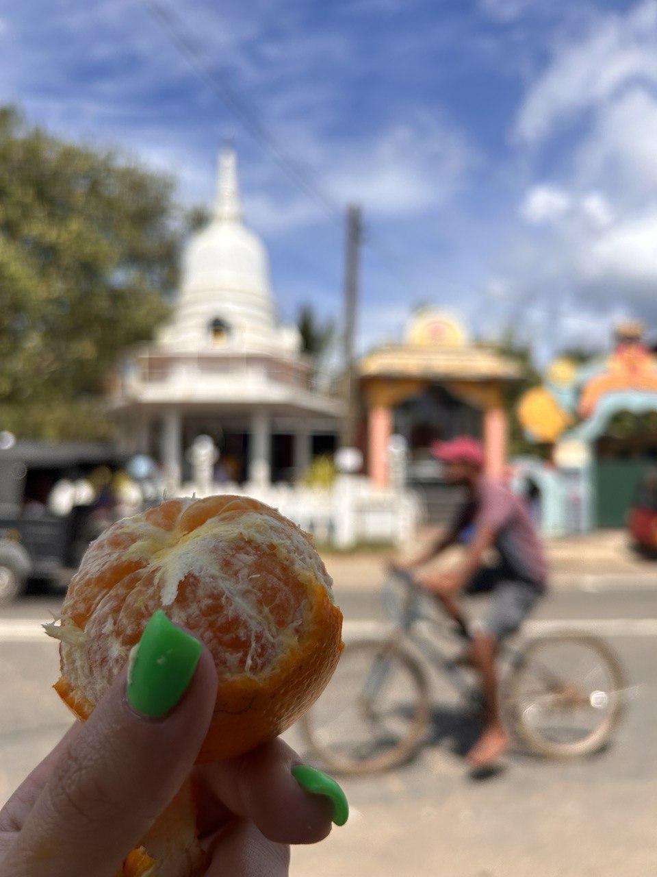 Колоритный Цейлон: слоны, храмы, чайные плантации и пляжный отдых. (24/54)