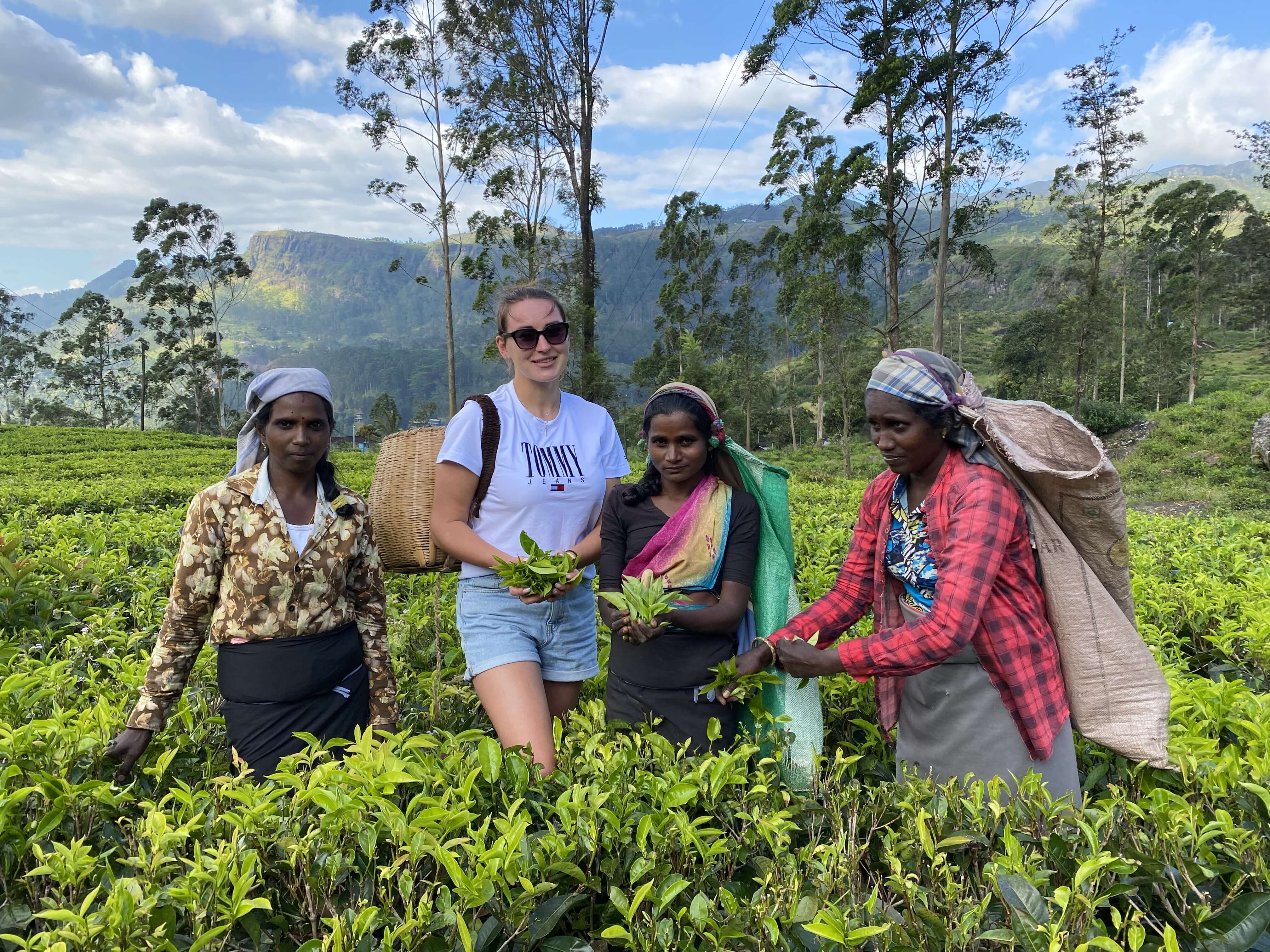 Колоритный Цейлон: слоны, храмы, чайные плантации и пляжный отдых