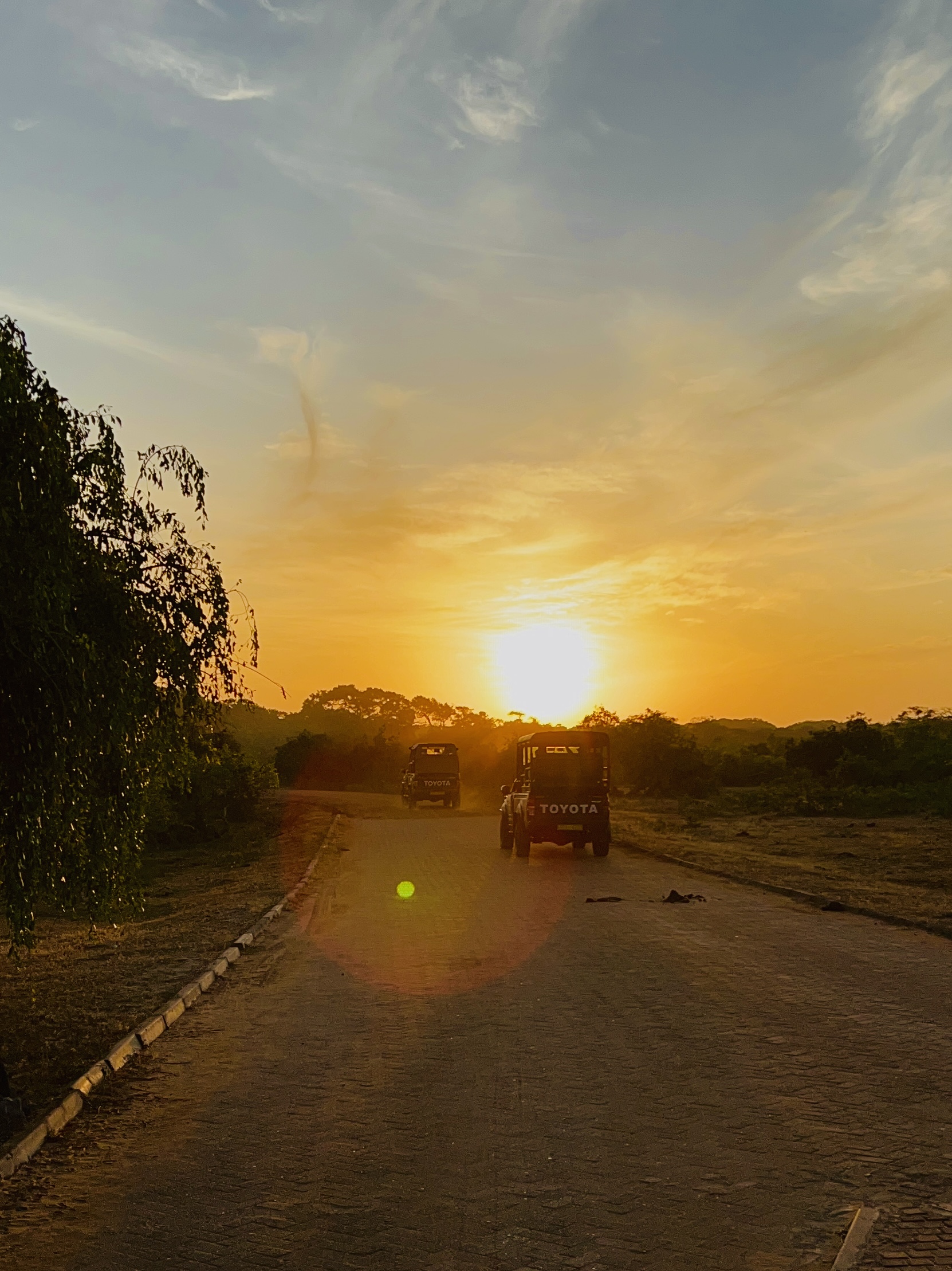 Контрастная Шри-Ланка. Максимум за 8 дней (4/43)