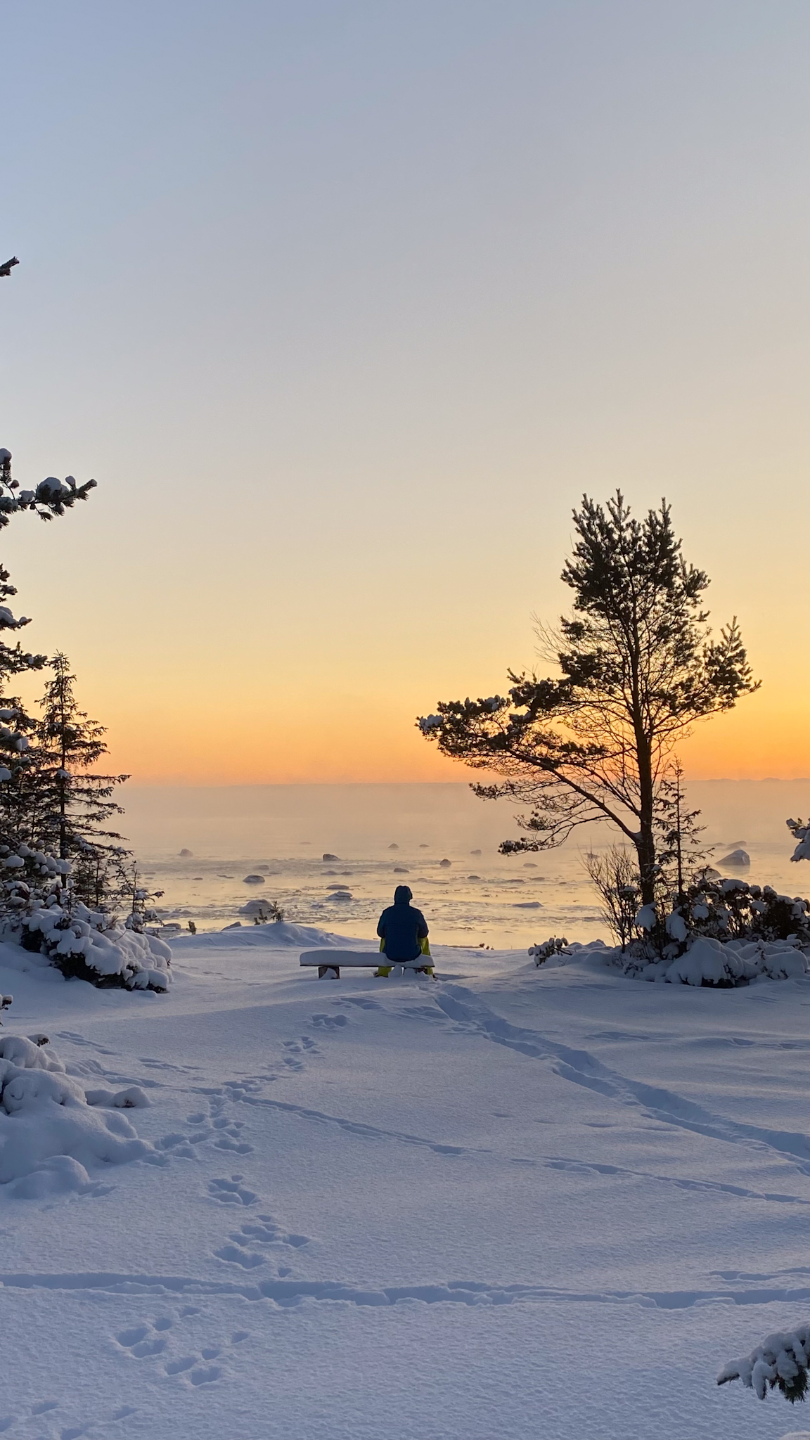 Сияние Терского берега (15/23)