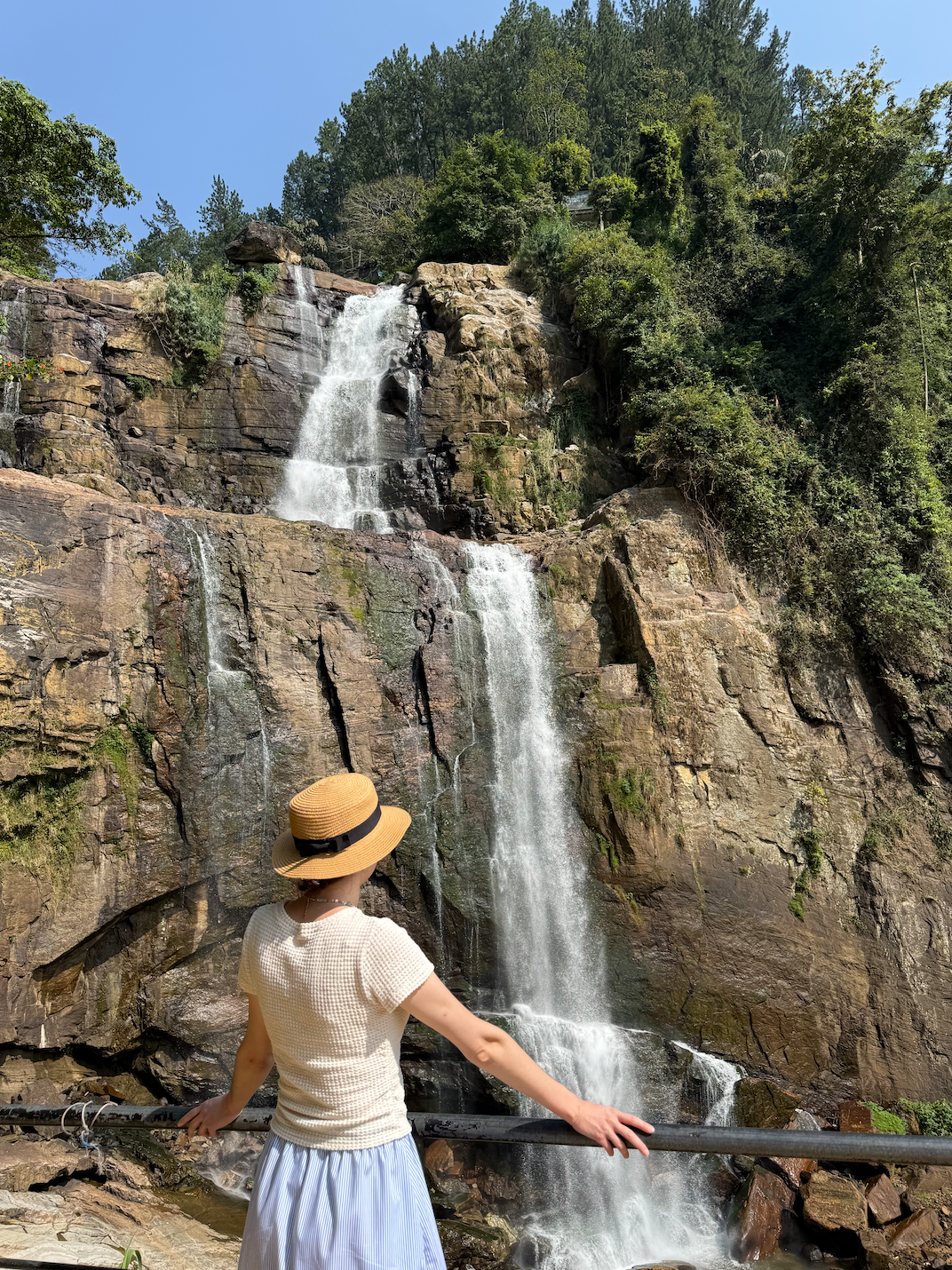 Колоритный Цейлон: слоны, храмы, чайные плантации и пляжный отдых. (30/54)