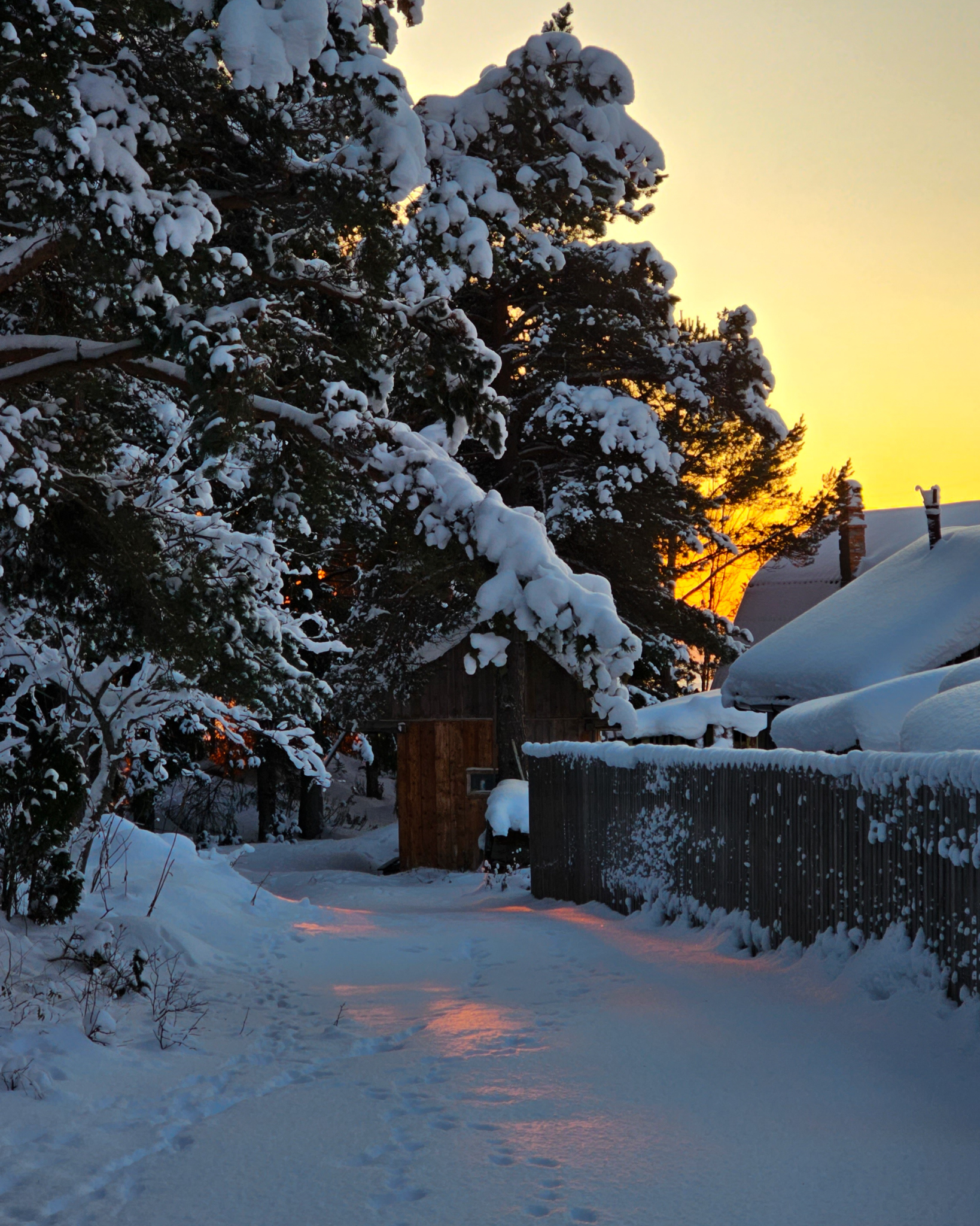 Сияние Терского берега (9/23)