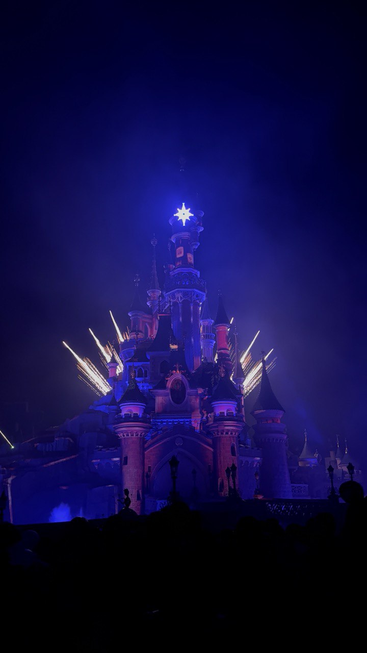 Мечты сбываются.....Париж+ Диснейленд (8/39)