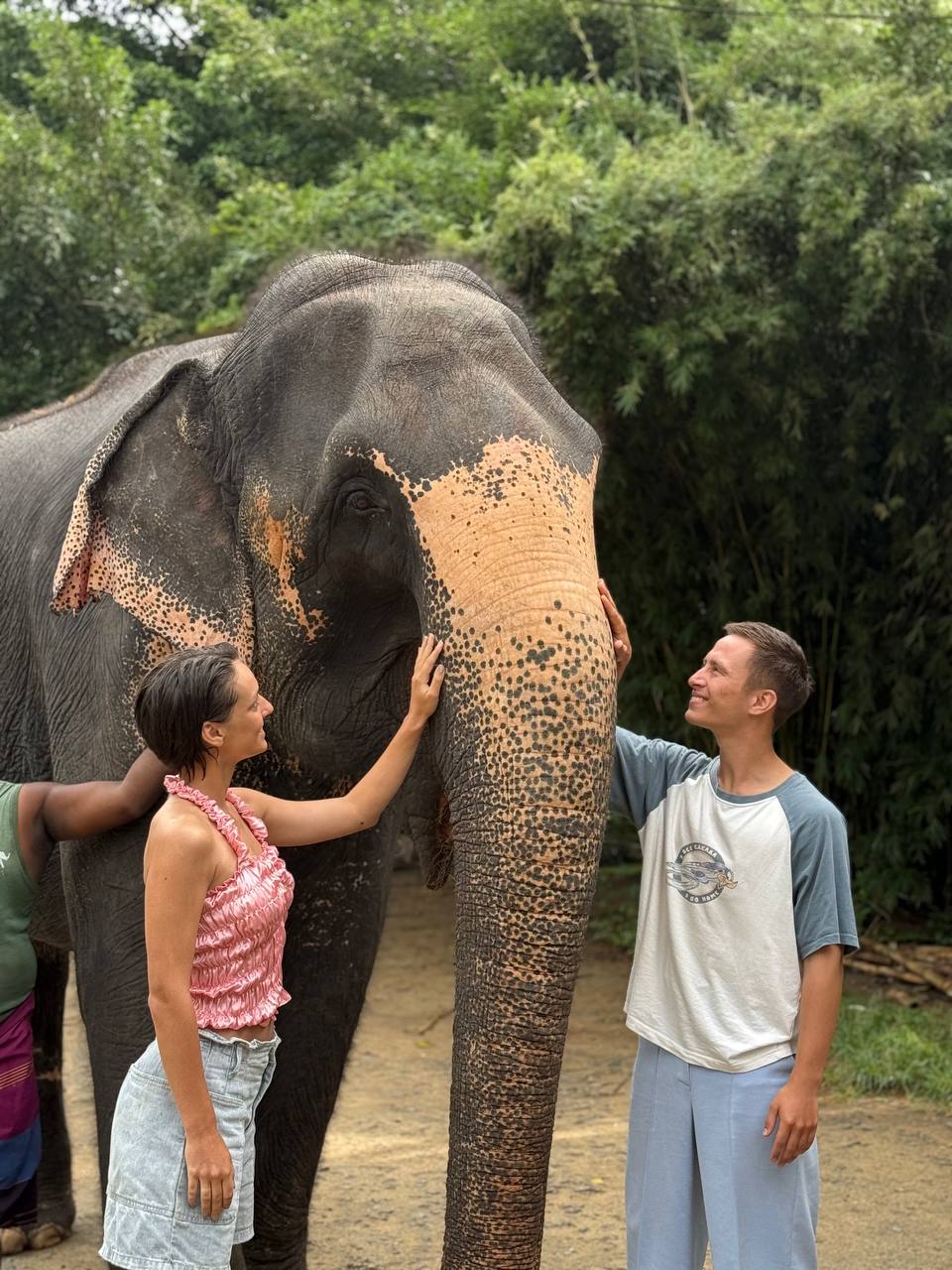 Авторский тур Вокруг Шри-Ланки за 6 дней (4/43)