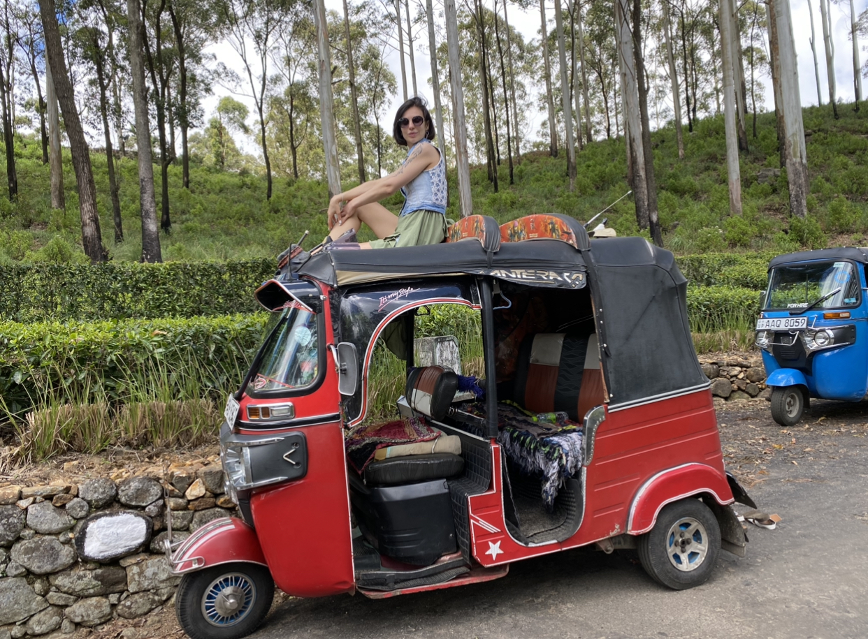 Колоритный Цейлон: слоны, храмы, чайные плантации и пляжный отдых. (5/54)