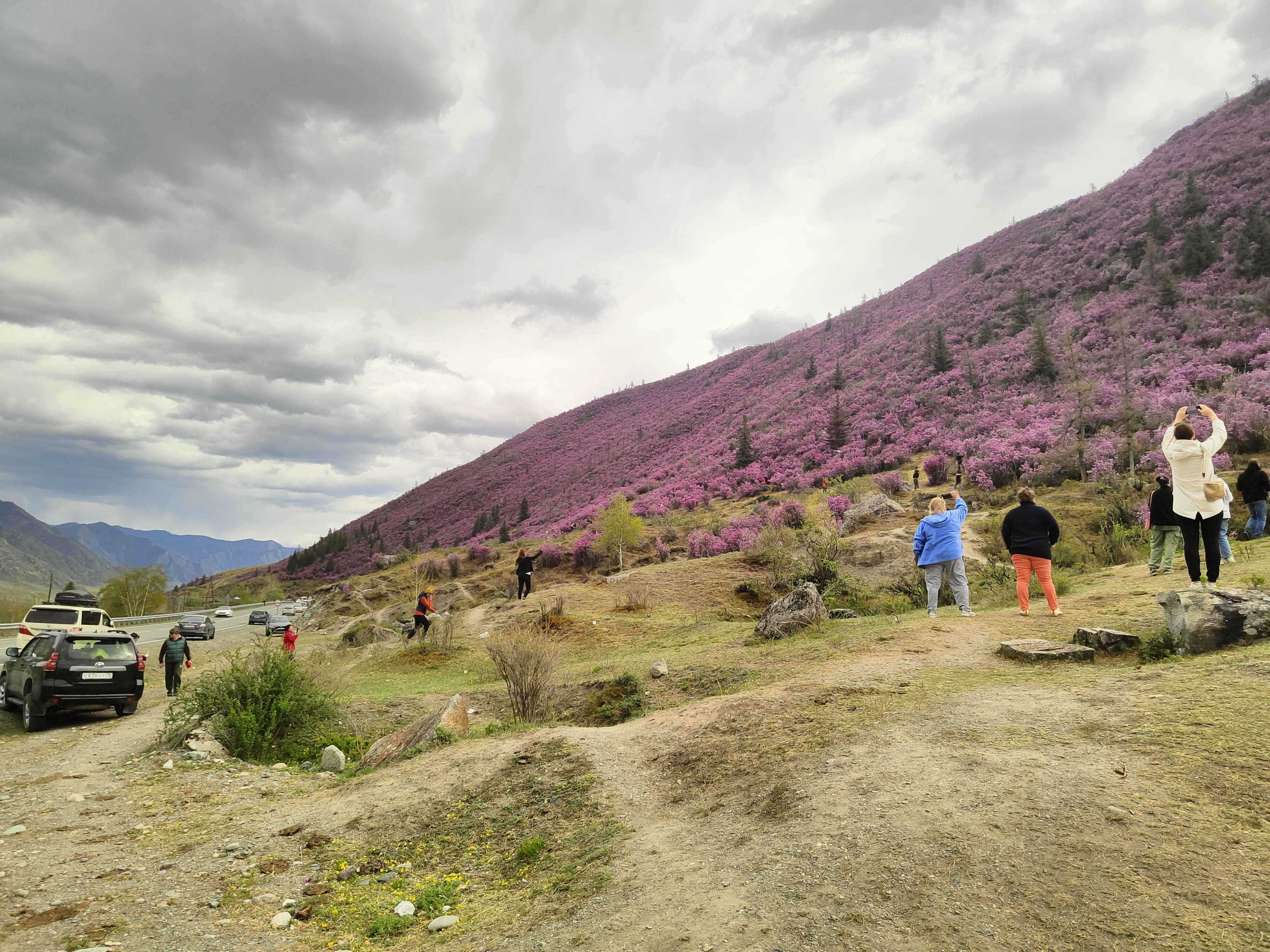По Чемальскому тракту до Ороктойского моста