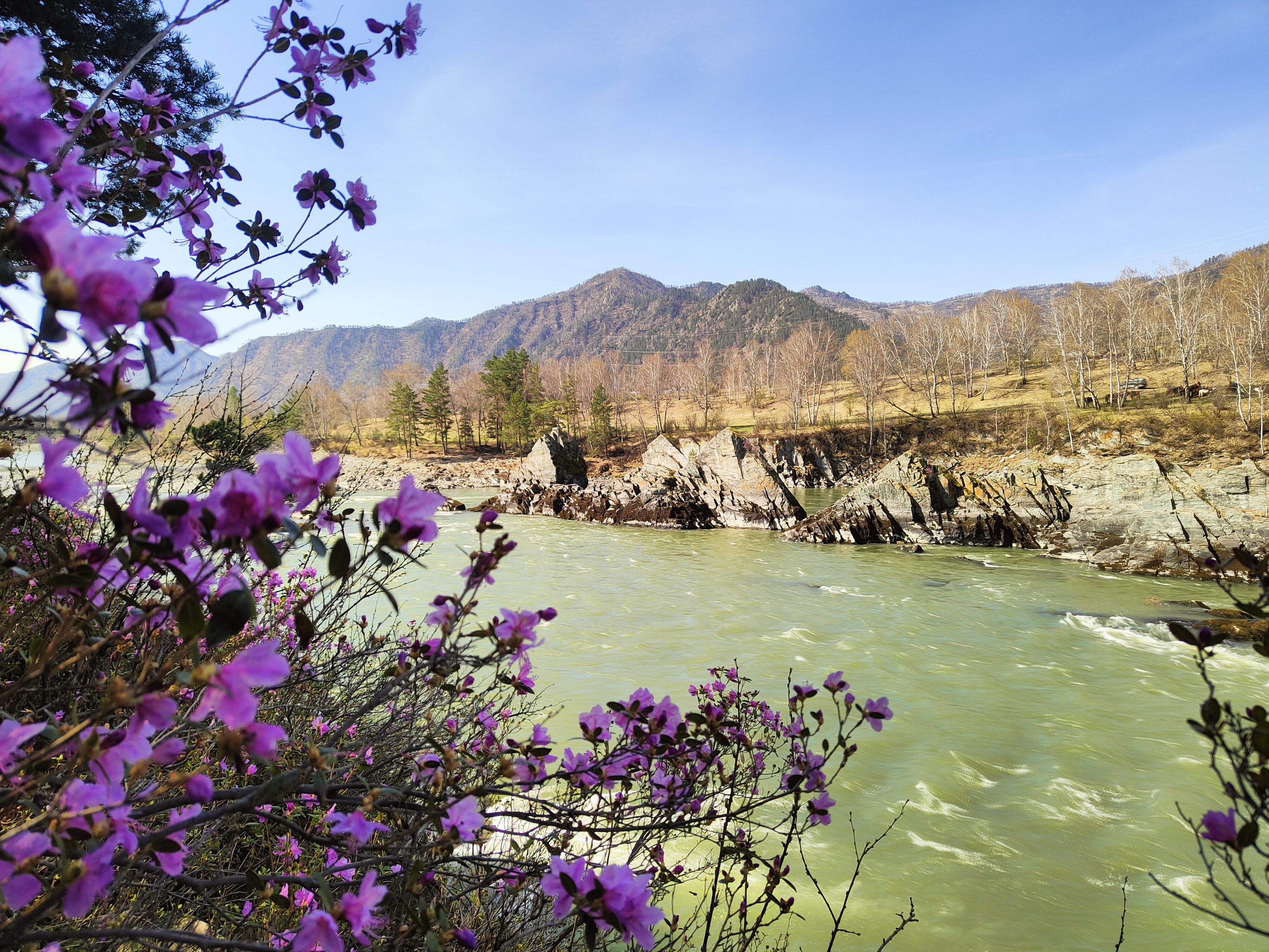 По Чемальскому тракту до Ороктойского моста