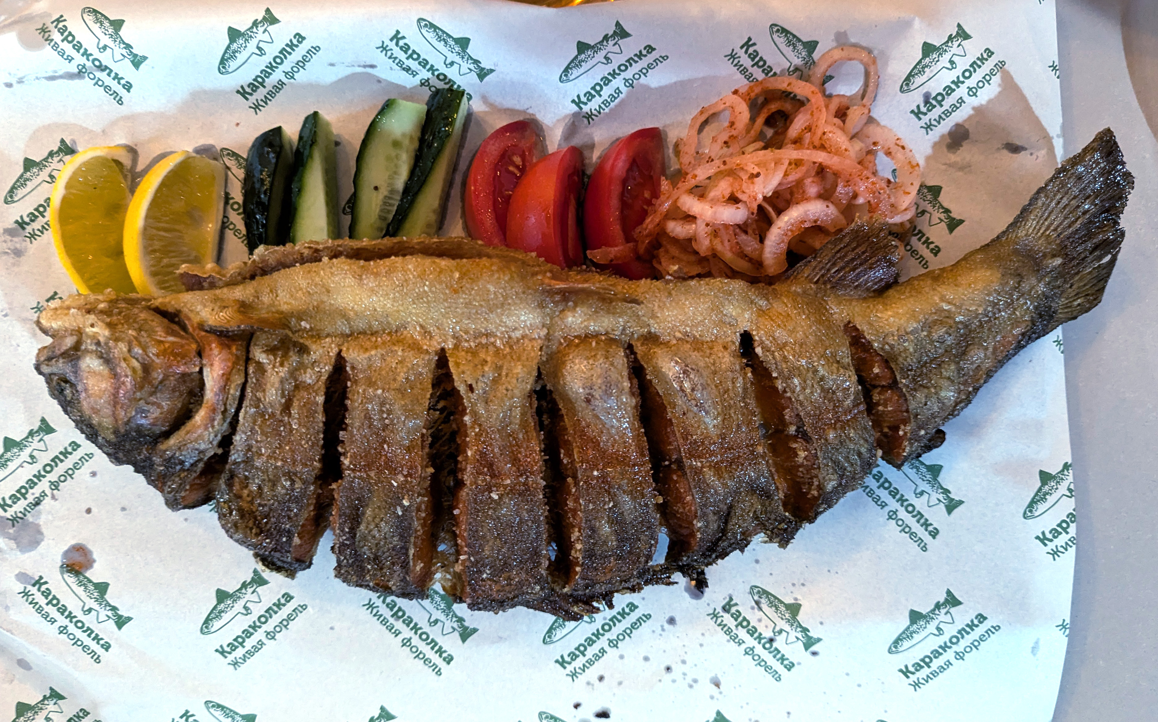 Красоты Тянь-Шаня. Из Казахстана в Кыргызстан и обратно. Две страны Центральной Азии. (17/45)