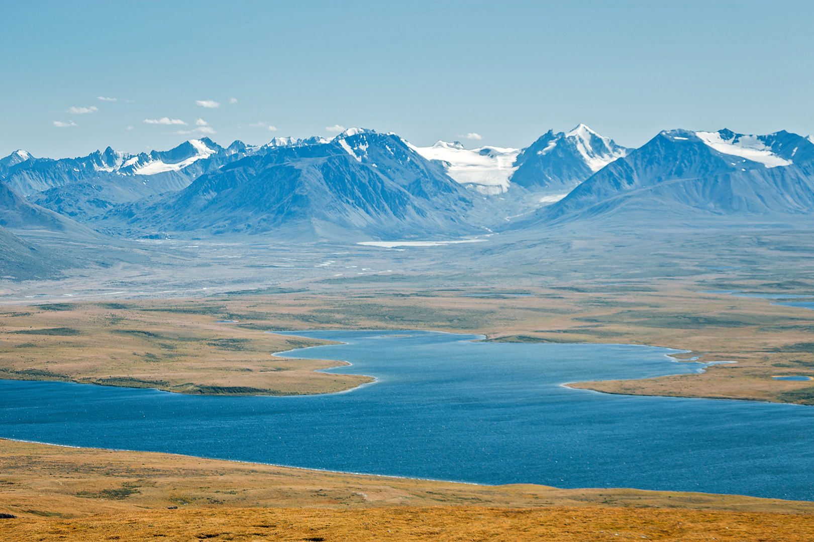 С питомцем на Укок. (2/37)