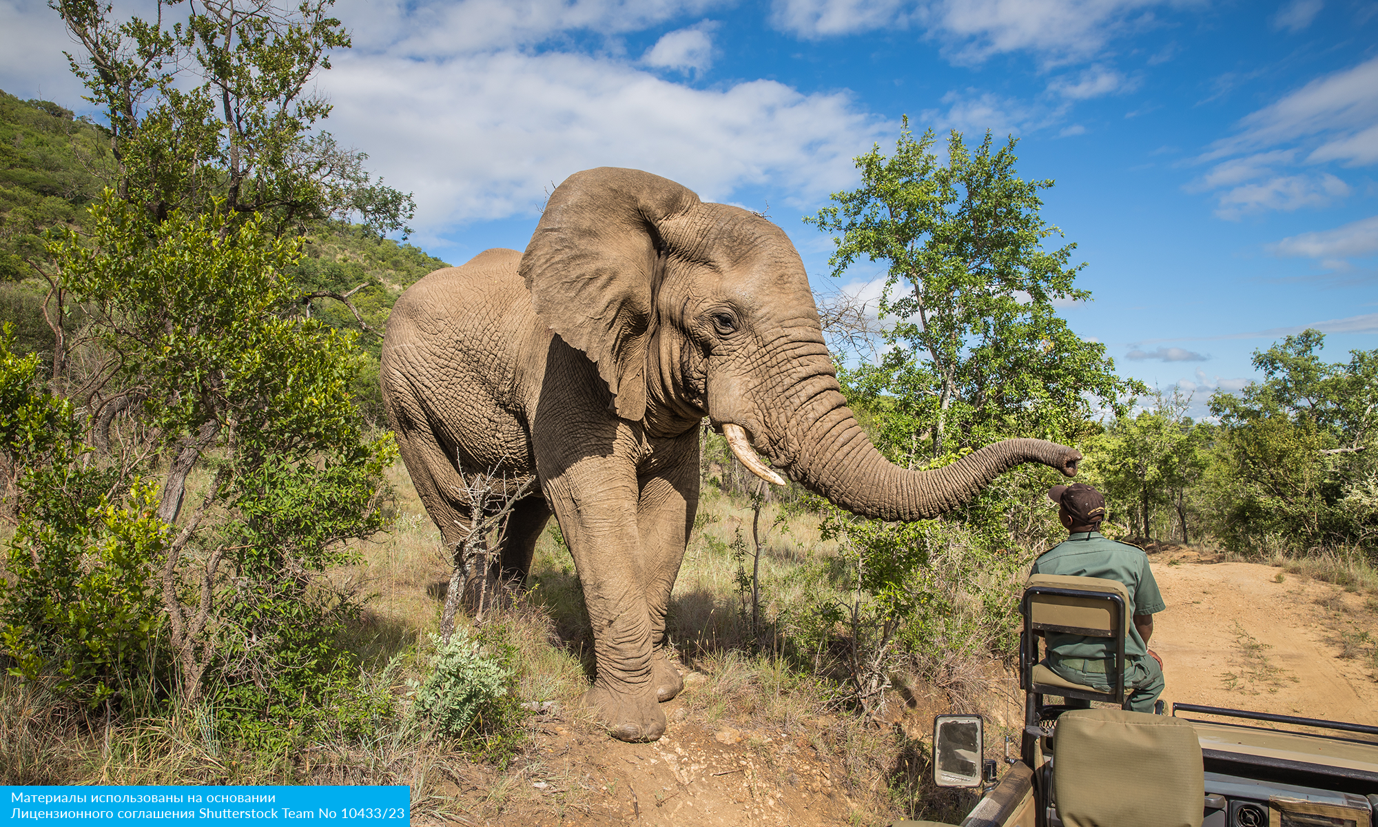 Майские в Юар (17/20)