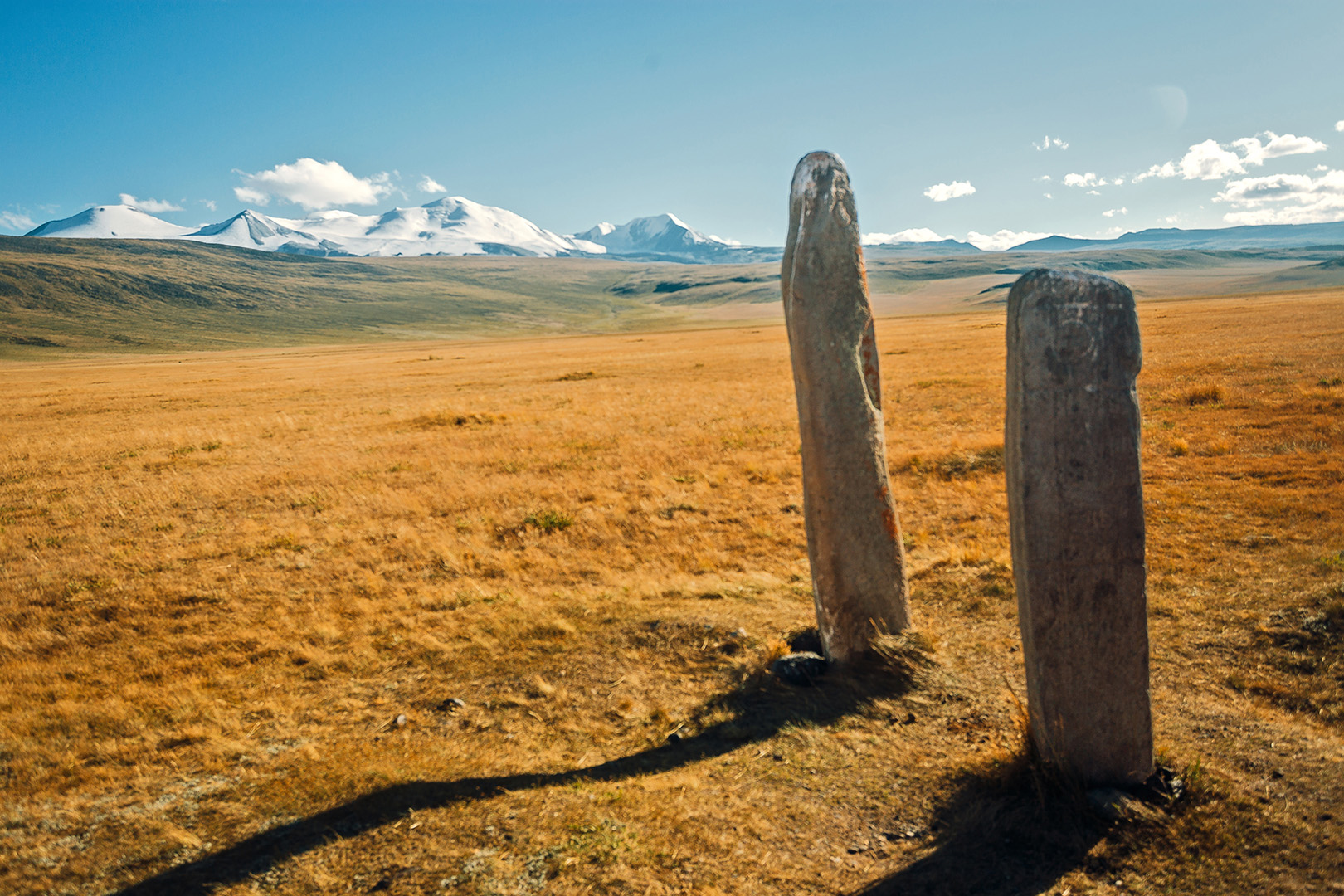 С питомцем на Укок. (10/37)