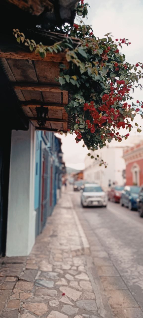 Следы Великих Культур 9 Дней/8 Ночей (23/76)