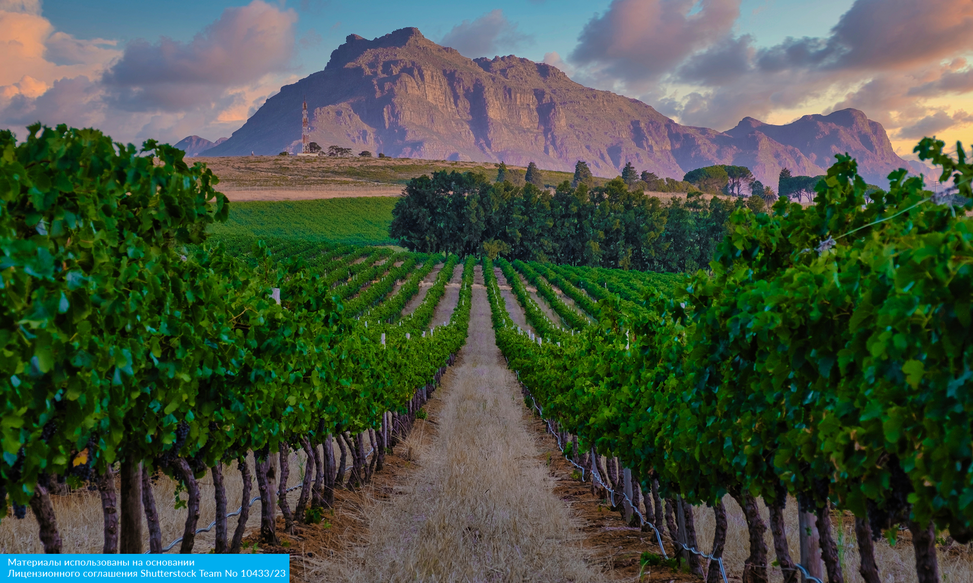 Майские в Юар (18/20)