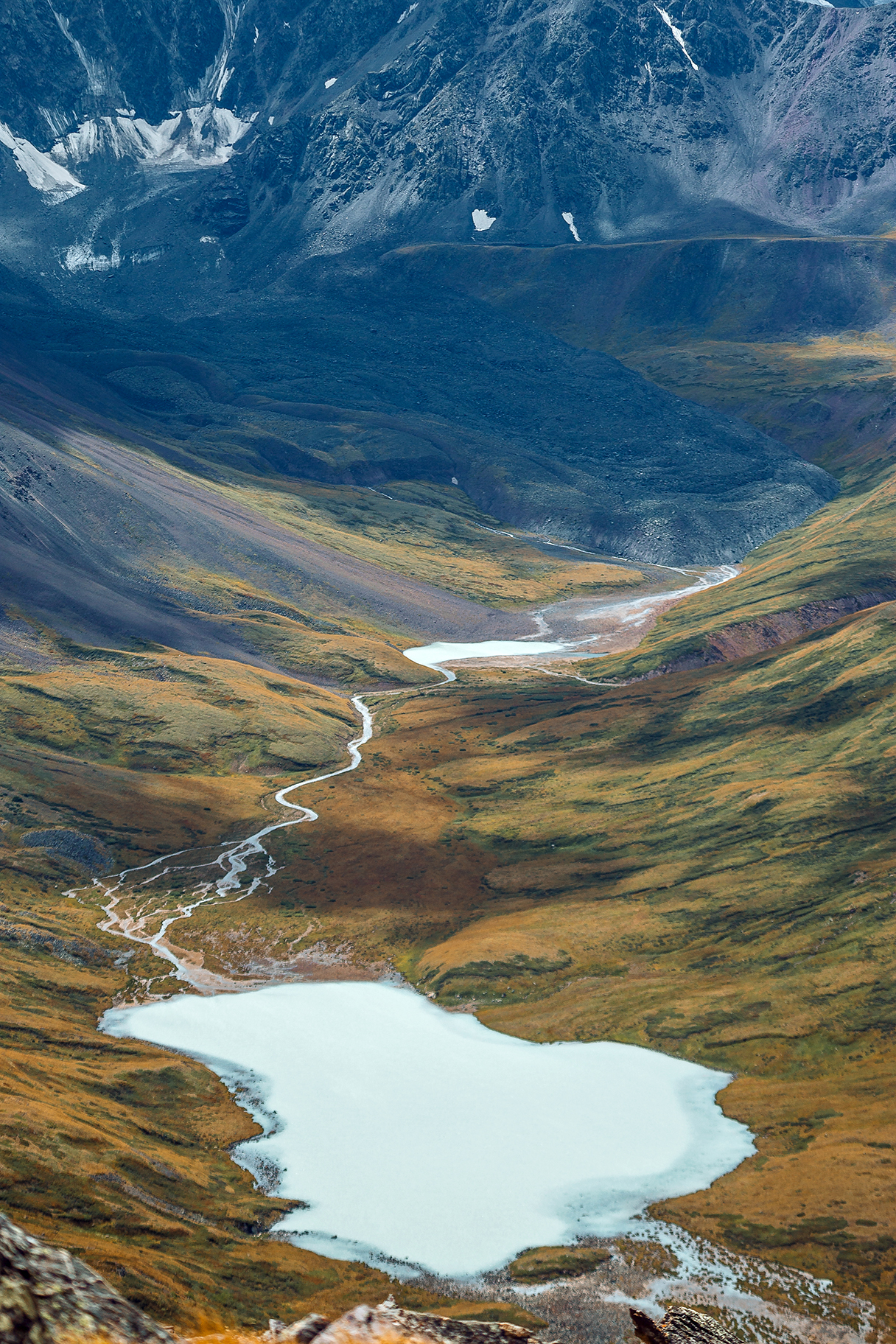 С питомцем на Укок. (7/37)