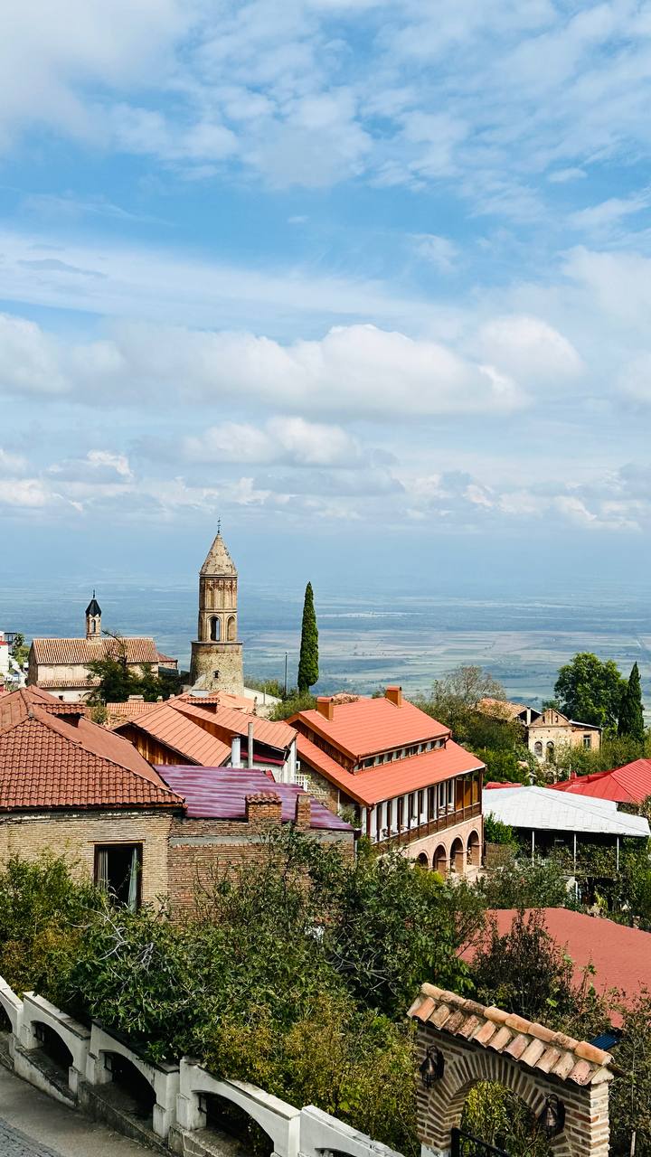 Винная Кахетия - индивидуальный тур для вашей компании (2/14)