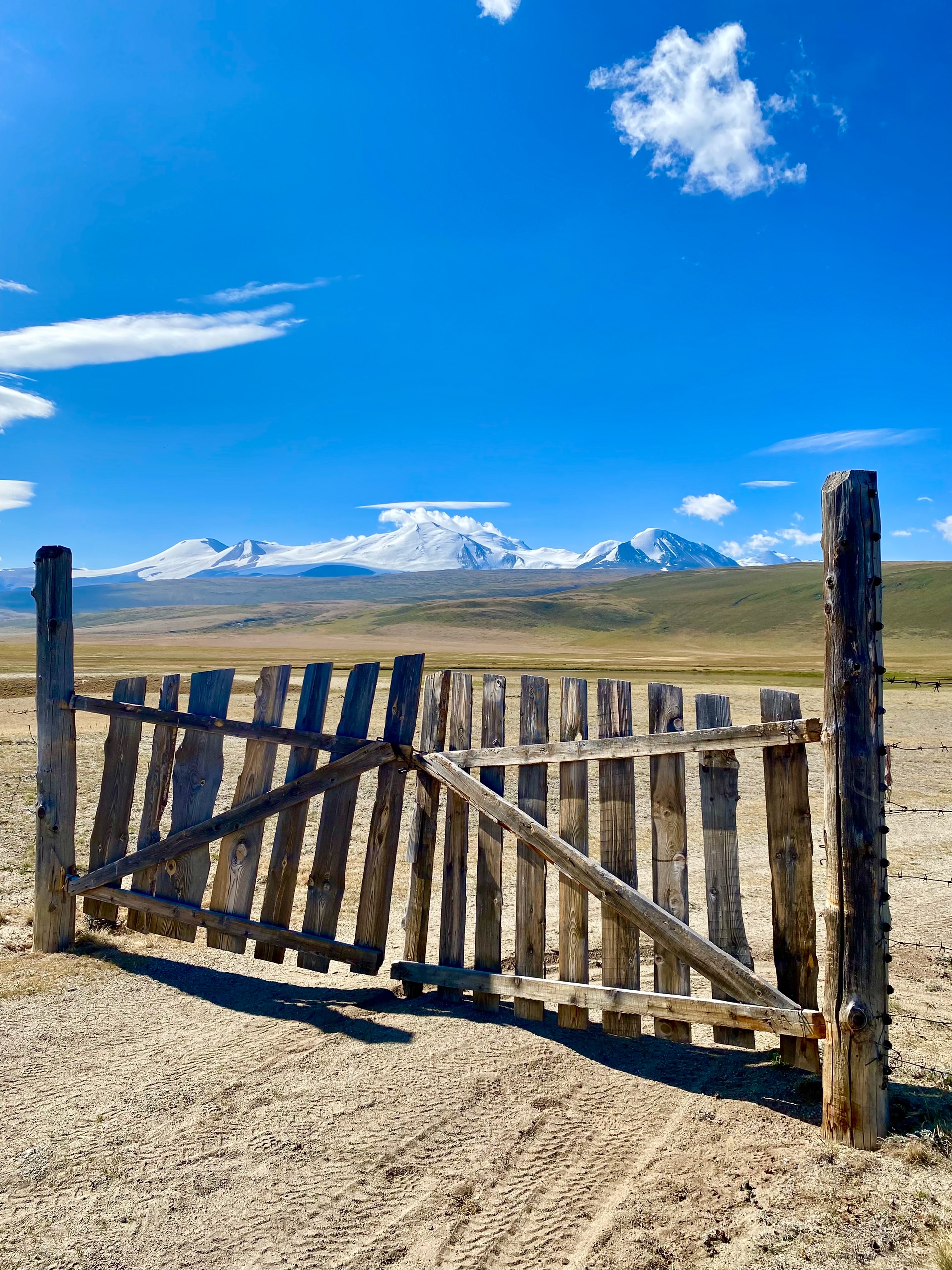 С питомцем на Укок. (18/37)