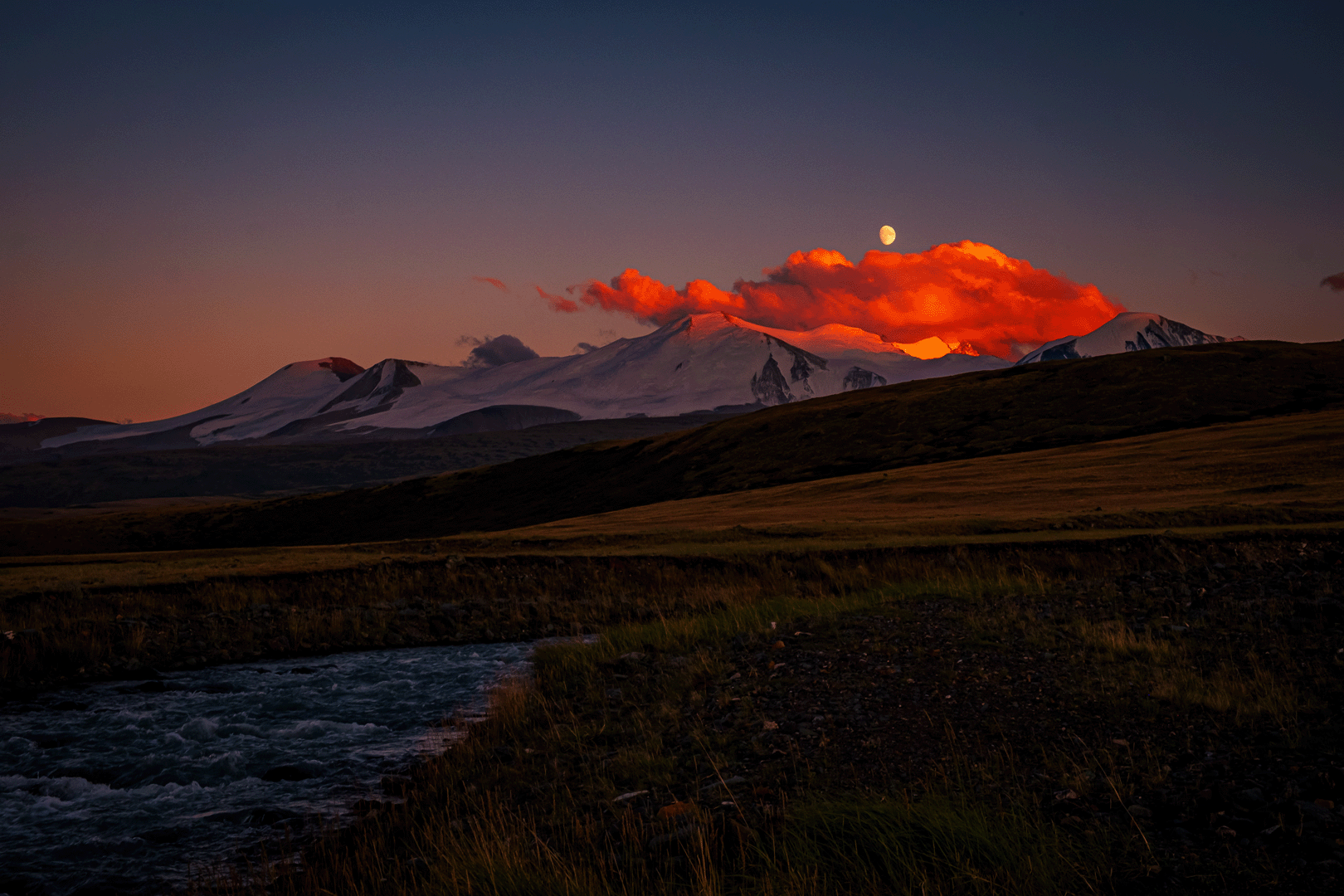 С питомцем на Укок. (3/37)