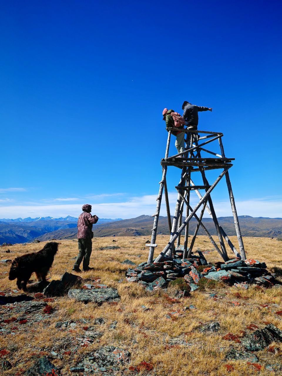 С питомцем на Укок. (12/37)