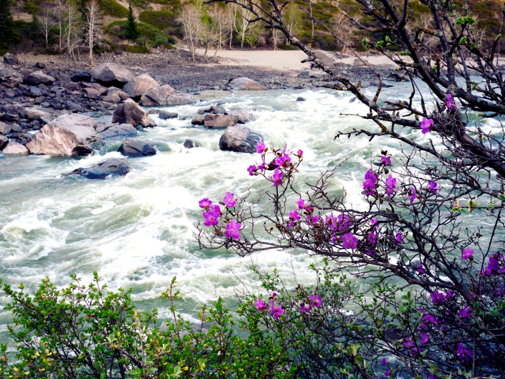 Ещё денёк в горах Алтая