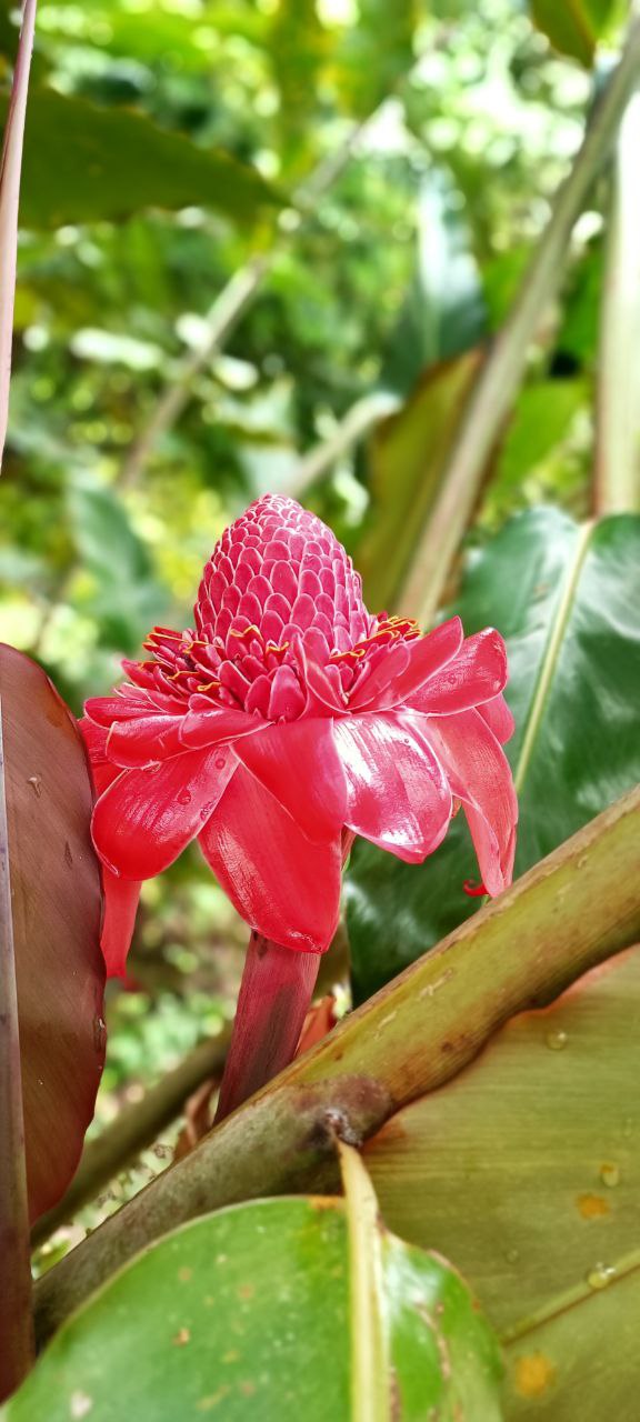 Следы Великих Культур 9 Дней/8 Ночей (10/76)