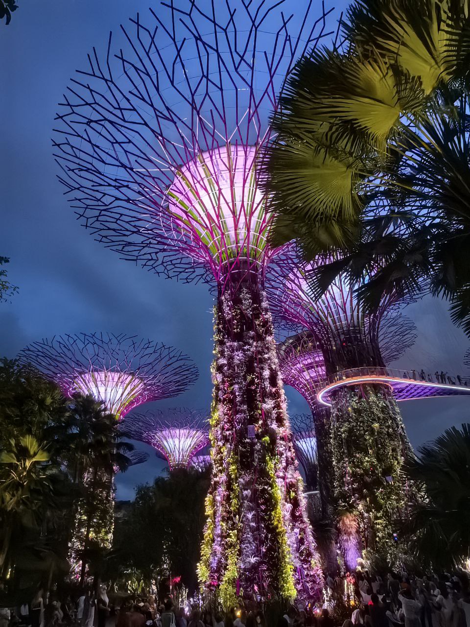 Сингапур и Бали - футуристический город-сад и тропический остров