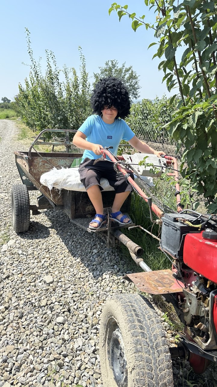 Винная Кахетия - индивидуальный тур для вашей компании (7/14)