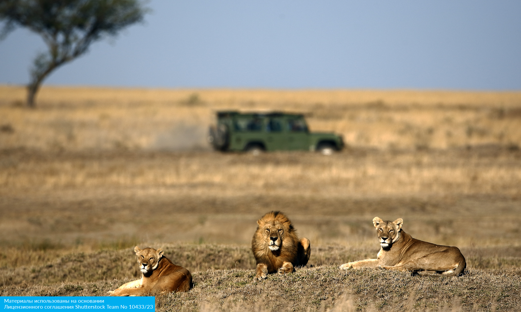 Юар на майские (16/20)