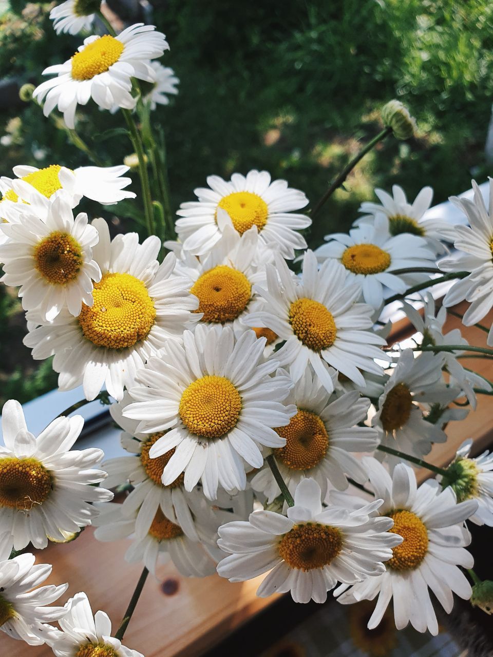 На 3 Дня В Карелию! (4/19)