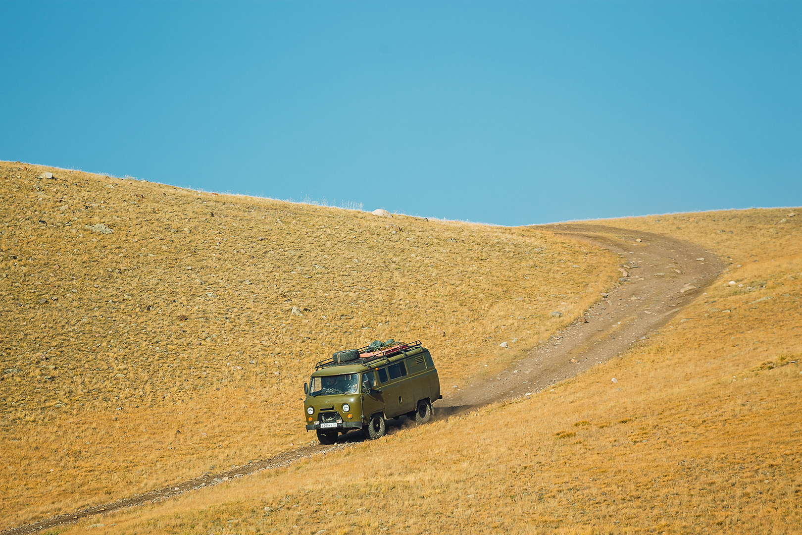 С питомцем на Укок. (11/37)